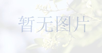 四川邻水县亿豪托老中心举办新春佳节团拜会